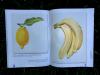 Книга «Портреты фруктов и овощей» - 
