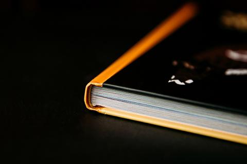 Чем они отличаются книга. Смотреть фото Чем они отличаются книга. Смотреть картинку Чем они отличаются книга. Картинка про Чем они отличаются книга. Фото Чем они отличаются книга