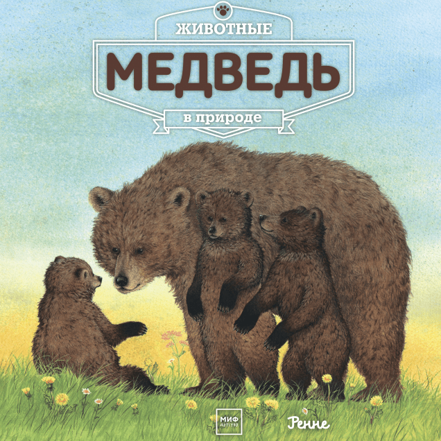 Обложка книги в хорошем качестве