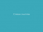 Стихи с натуры