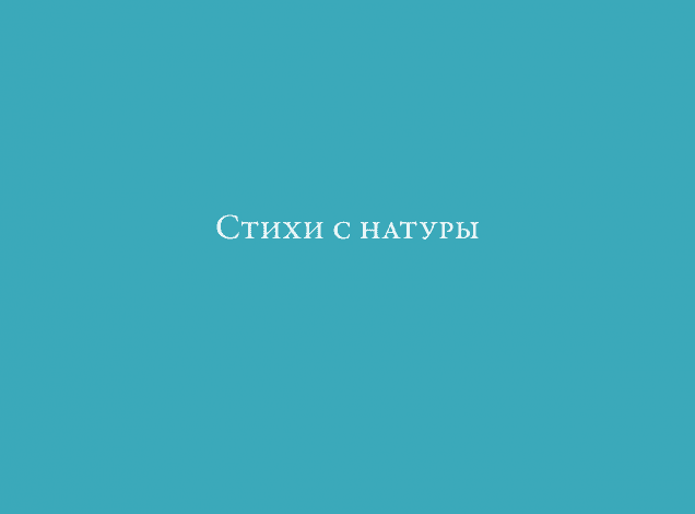 Стихи с натуры