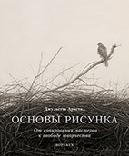 Основы рисунка