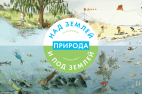 Природа над землей и под землей