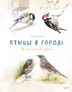 Птицы в городе