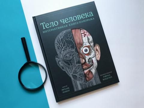 издательство миф анатомия человека. Смотреть фото издательство миф анатомия человека. Смотреть картинку издательство миф анатомия человека. Картинка про издательство миф анатомия человека. Фото издательство миф анатомия человека