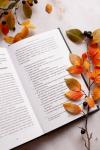 Книга «Причеши меня. Твой текст» - 