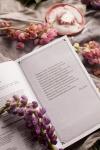 Книга «Маленькие женщины» - 