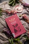 Книга «Маленькие женщины» - 