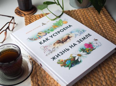 как устроена земля издательство миф. Смотреть фото как устроена земля издательство миф. Смотреть картинку как устроена земля издательство миф. Картинка про как устроена земля издательство миф. Фото как устроена земля издательство миф