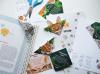 Книга «Набор оригами-закладок от МИФа «Кошки»» - 