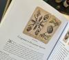 Книга «Antique Anatomy Tarot. Таро античной анатомии» - 