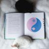 Книга «Chineasy каждый день» - 