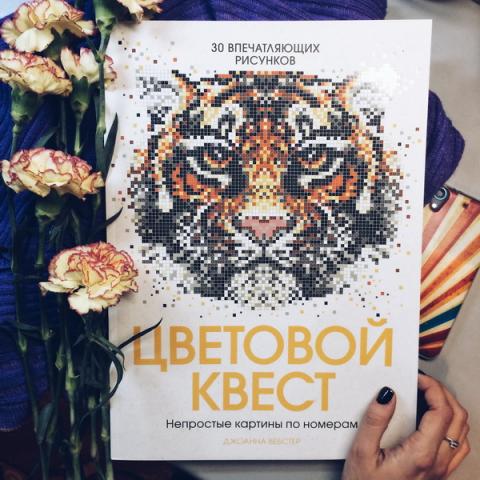 Цветовой Квест Новогоднее Чудо Купить