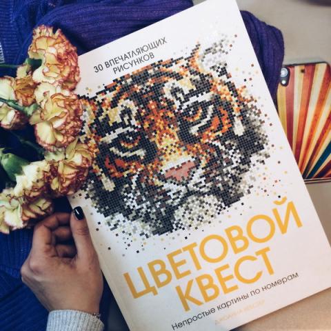 Цветовой Квест Новогоднее Чудо Купить
