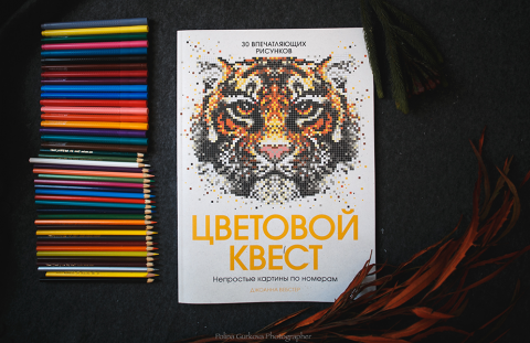 Цветовой Квест Новогоднее Чудо Купить
