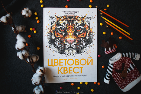 Цветовой Квест Новогоднее Чудо Купить