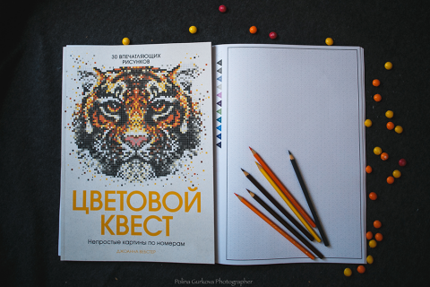 Цветовой Квест Новогоднее Чудо Купить