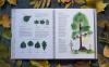 Книга «Мой гербарий. Листья деревьев» - 