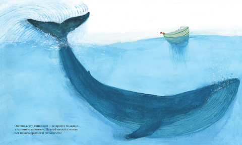 Синий кит. Картинки, фотографии, изображения самого большого животного