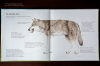 Книга «Животные в природе. Волк» - 