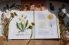 Книга «Мой гербарий. Цветы и травы» - 