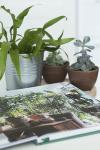 Книга &laquo;Urban Jungle&raquo; - 