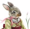 Оксана Фомина – автор книги «Кролики-пионы от Оксаны Фоминой»