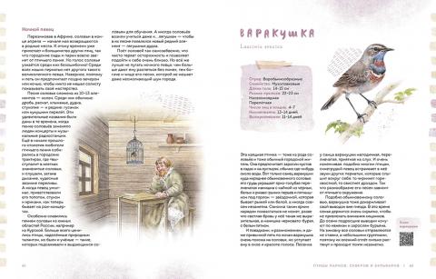 книга птицы в городе приложение
