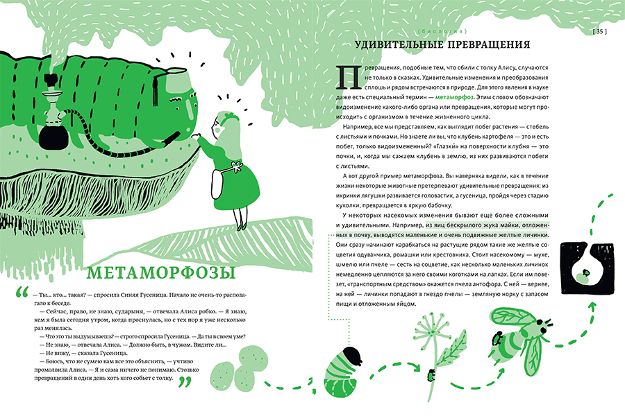 Пособие трансформация