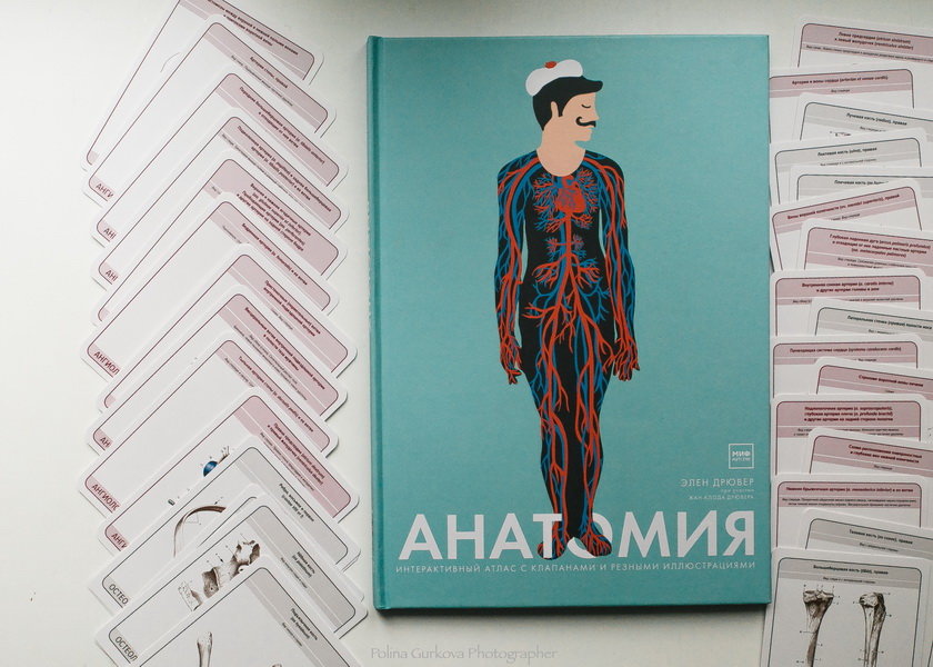 Анатомия (Элен Дрювер) — купить в МИФе