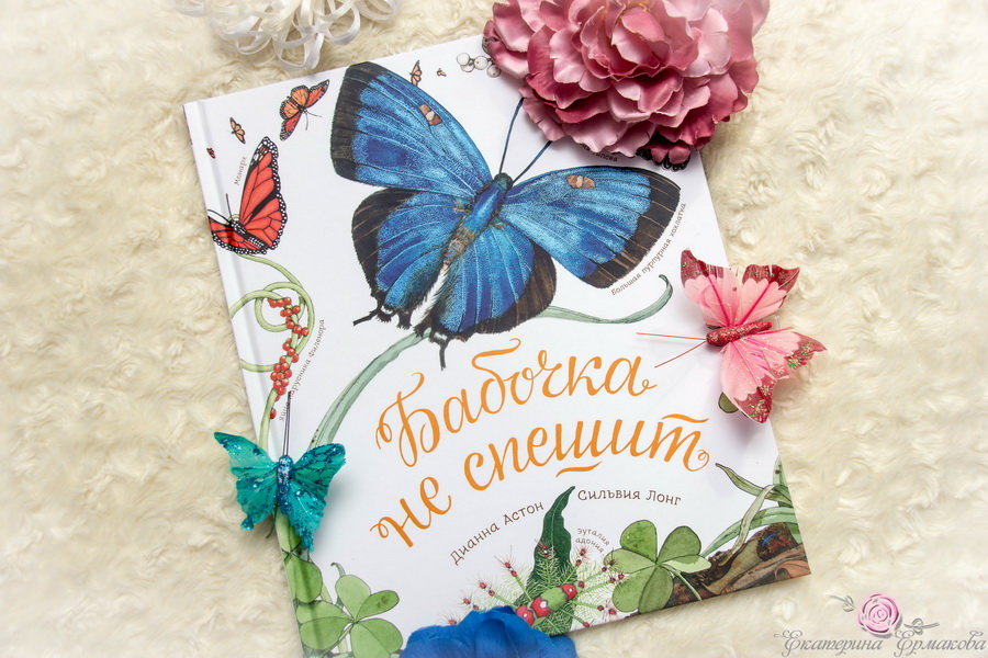 Ловец бабочек карина демина