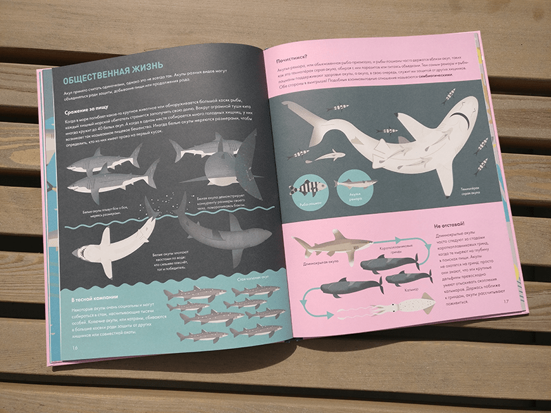 ����� ���� ��� �� ���� - 