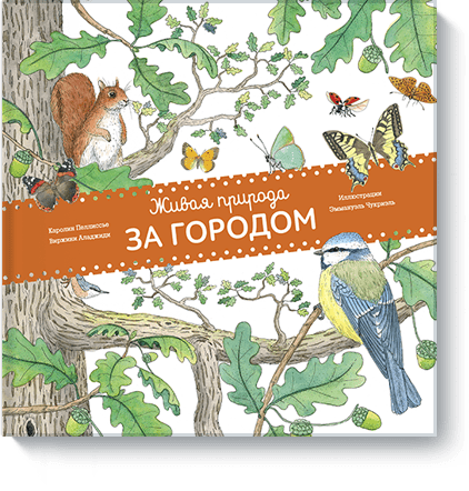 Живая природа. За городом занимательные конверты за городом