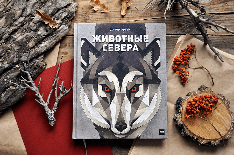 ����� ��������� ������ - 