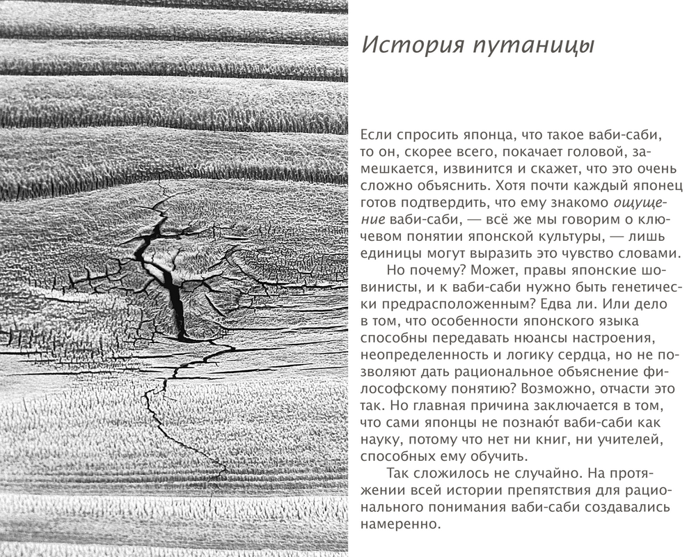 Ваби-саби 3 vabi 3
