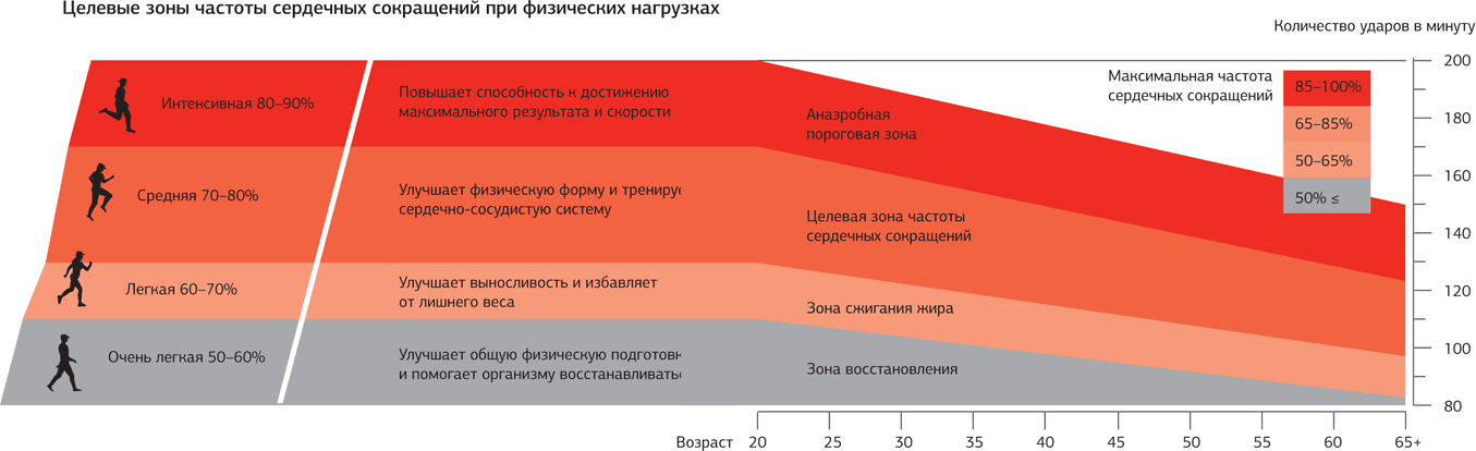 Пульс при беге у мужчин