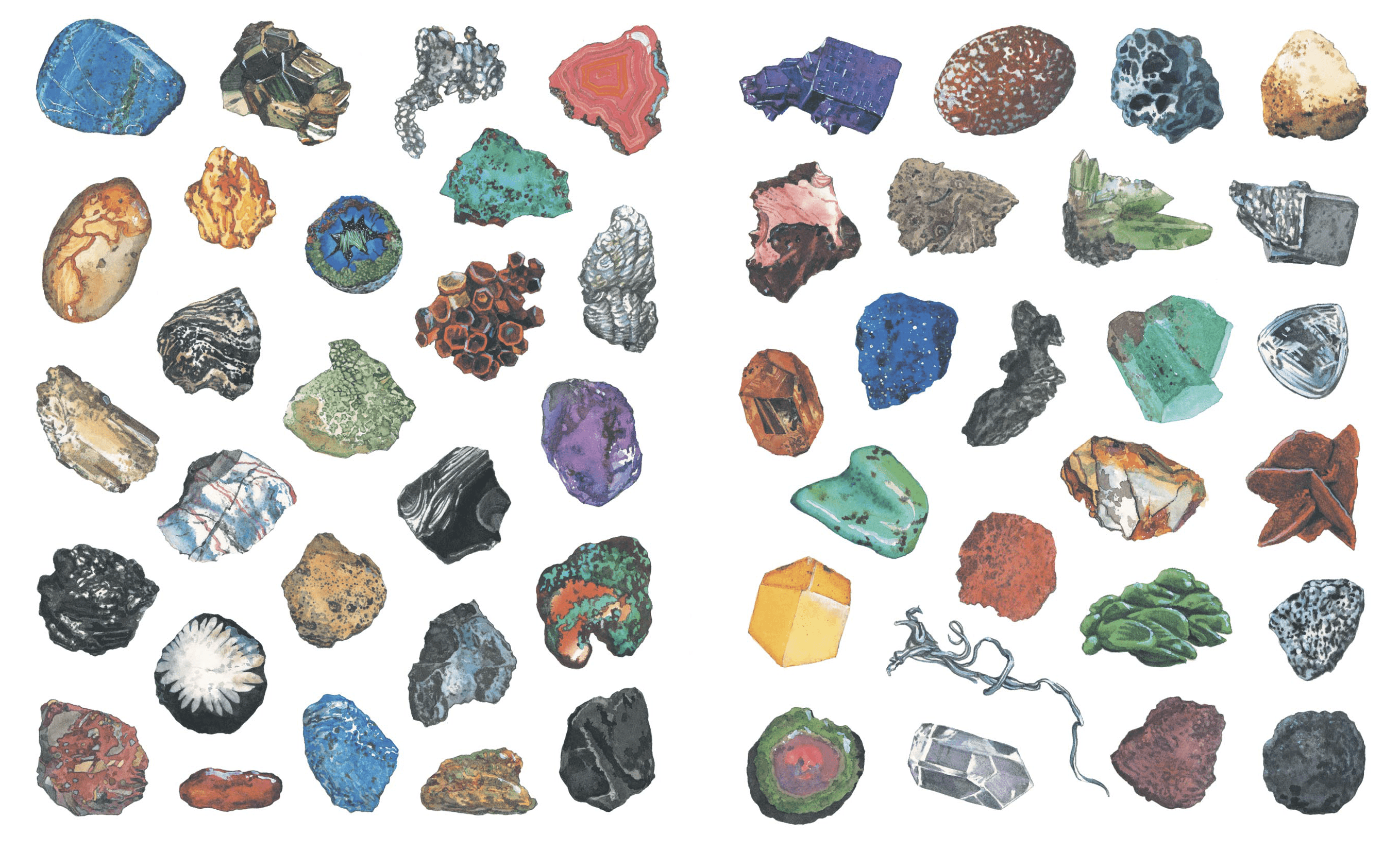 Ископаемых и т д. Коллекция минералов и горных пород. Коллекция минералы и горные породы 20 видов. Коллекция минералы и горные породы 49 видов. Коллекция "минералы и горные породы" (48 видов).