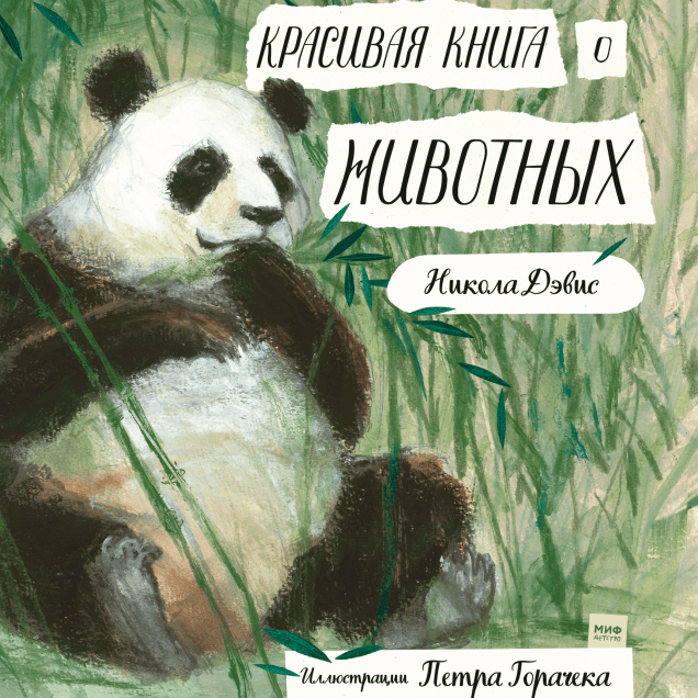 Обложка книги в хорошем качестве