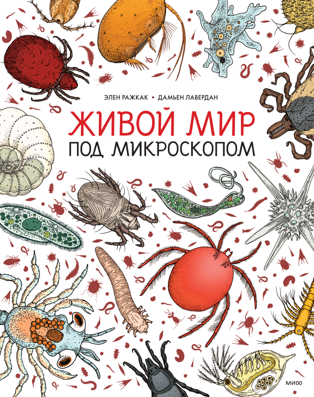 Обложка книги в хорошем качестве
