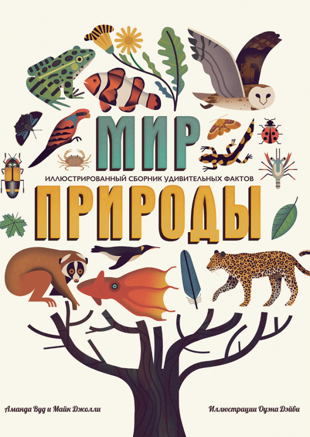 Обложка книги в хорошем качестве
