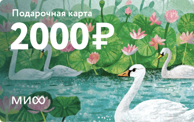 Подарочный сертификат на 2 000 ₽