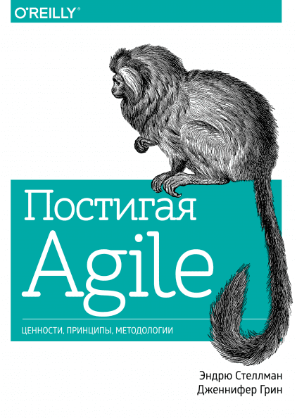 Постигая Agile