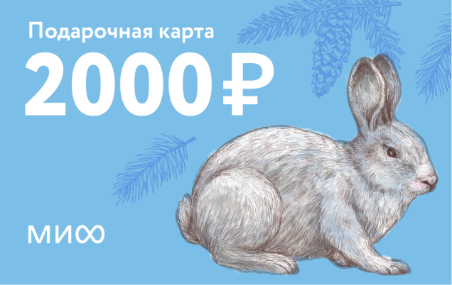 Подарочный сертификат на 2 000 ₽