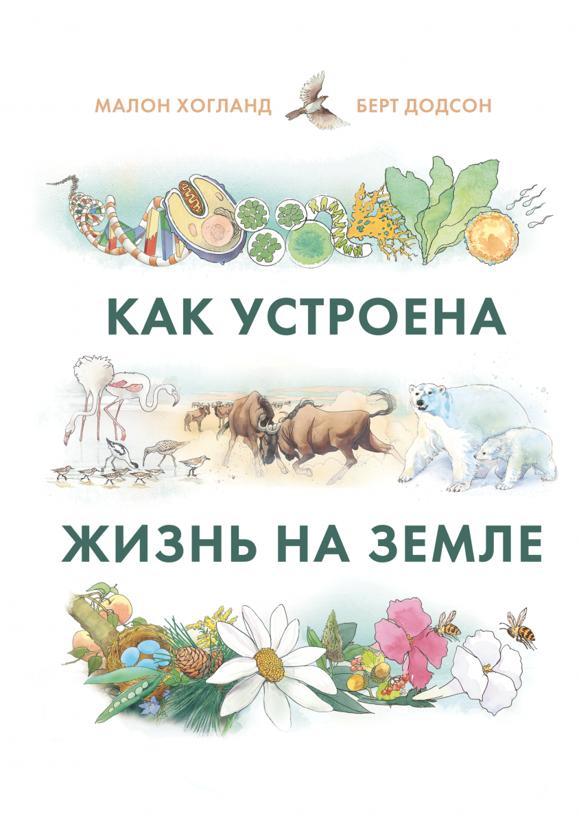 Книга как устроена жизнь. Как устроена жизнь на земле. книга как устроена жизнь на земле. история жизни на земле книга. как устроена земля издательство миф.