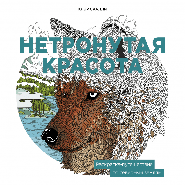 Обложка книги в хорошем качестве