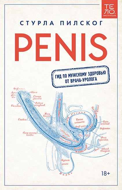 Penis