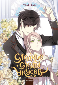 Обложка книги в хорошем качестве