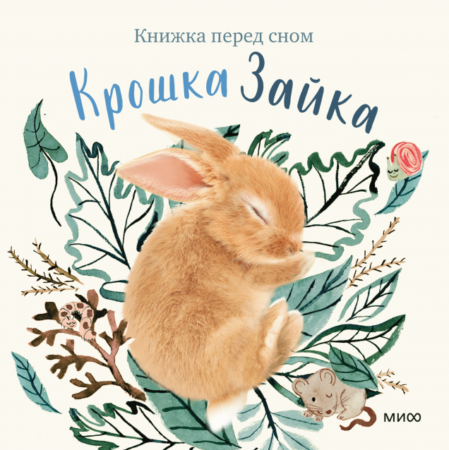 Обложка книги в хорошем качестве
