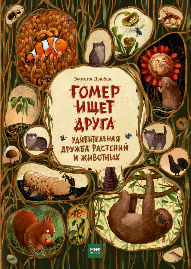 Обложка книги в хорошем качестве