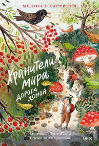 Обложка книги в хорошем качестве